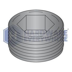 1/4 SOCKET PIPE PLUGS / Steel / Plain