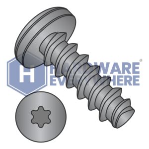 2-28 X 3/8 Thread Forming Screws / Torx / Pan Head / 18-8 Stainless / Black Oxide / Plastite (Blunt Tip) Alternate 48-2