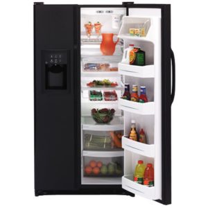 GE 25.0 Cu. Ft. Capacity Side-By-Side Refrigerator with Dispenser|ESH25XGRBB