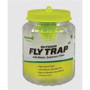 RESCUE! FTR-DT12 Reusable Fly Trap, Powder, Attracts: Nuisance or Filth Flies, 12, Pack